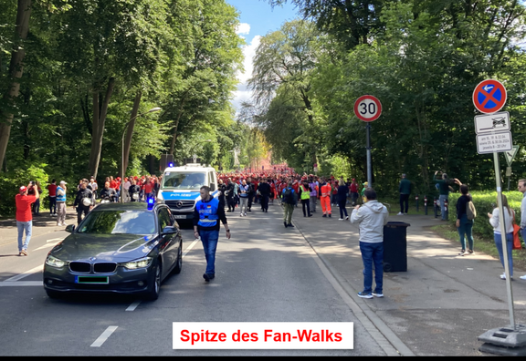 Fan-Walk_06.png  